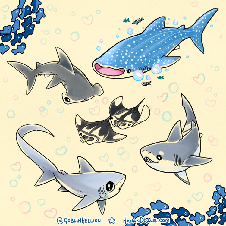 sharks sharks